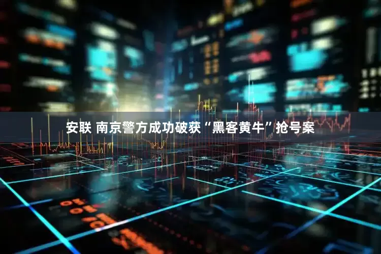 安联 南京警方成功破获“黑客黄牛”抢号案