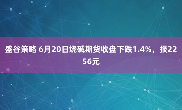 盛谷策略 6月20日烧碱期货收盘下跌1.4%，报2256元