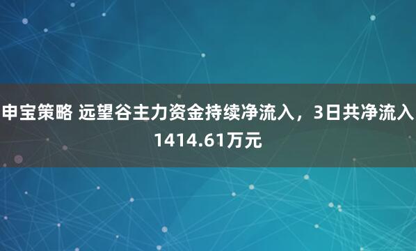 申宝策略 远望谷主力资金持续净流入，3日共净流入1414.61万元