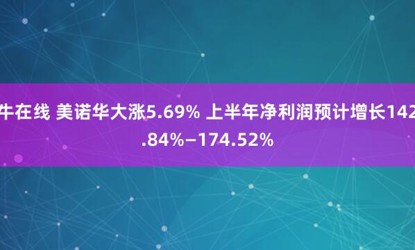 牛在线 美诺华大涨5.69% 上半年净利润预计增长142.84%—174.52%