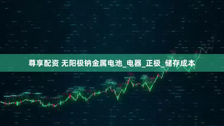 尊享配资 无阳极钠金属电池_电器_正极_储存成本