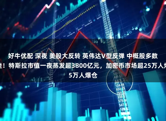 好牛优配 深夜 美股大反转 英伟达V型反弹 中概股多数下挫！特斯拉市值一夜蒸发超3800亿元，加密币市场超25万人爆仓